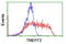 Transmembrane Protein With EGF Like And Two Follistatin Like Domains 2 antibody, TA504555, Origene, Flow Cytometry image 