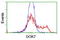 Docking Protein 7 antibody, TA504809, Origene, Flow Cytometry image 