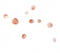 Zinc Finger MIZ-Type Containing 1 antibody, 6237, ProSci, Immunocytochemistry image 