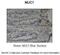 Mucin 1, Cell Surface Associated antibody, 29-577, ProSci, Western Blot image 