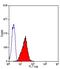 Fas Ligand antibody, GTX42344, GeneTex, Flow Cytometry image 