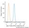 Tubulin Alpha 1a antibody, NB100-690JF646, Novus Biologicals, Flow Cytometry image 