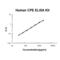 Carboxypeptidase E antibody, EK1887, Boster Biological Technology, Enzyme Linked Immunosorbent Assay image 