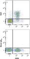 T Cell Immunoreceptor With Ig And ITIM Domains antibody, FAB7898A, R&D Systems, Flow Cytometry image 