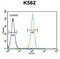 DEAD-Box Helicase 27 antibody, abx026085, Abbexa, Flow Cytometry image 