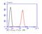 Mitochondrial Calcium Uniporter antibody, NBP2-76948, Novus Biologicals, Flow Cytometry image 