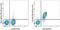 C-X-C chemokine receptor type 5 antibody, 61-7185-82, Invitrogen Antibodies, Flow Cytometry image 