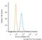 SRY-Box 10 antibody, NBP2-47708PE, Novus Biologicals, Flow Cytometry image 