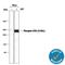 ATM Serine/Threonine Kinase antibody, AF1655, R&D Systems, Western Blot image 