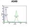Kelch Like Family Member 9 antibody, abx032431, Abbexa, Flow Cytometry image 