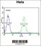 Polypeptide N-Acetylgalactosaminyltransferase 4 antibody, 55-079, ProSci, Flow Cytometry image 