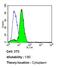 ADP Ribosylation Factor 1 antibody, MA3-060, Invitrogen Antibodies, Flow Cytometry image 