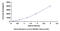 Ribonuclease A Family Member 3 antibody, MBS2025508, MyBioSource, Enzyme Linked Immunosorbent Assay image 