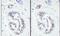 Tripartite Motif Containing 28 antibody, NB500-158, Novus Biologicals, Immunohistochemistry paraffin image 