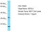 Outer Dense Fiber Of Sperm Tails 3 Like 2 antibody, TA337477, Origene, Western Blot image 