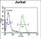 JAZF Zinc Finger 1 antibody, PA5-71566, Invitrogen Antibodies, Flow Cytometry image 