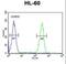 Aftiphilin antibody, LS-C156138, Lifespan Biosciences, Flow Cytometry image 