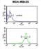 Exostosin Like Glycosyltransferase 3 antibody, abx034206, Abbexa, Flow Cytometry image 