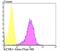 TWIK1 antibody, NBP2-76940, Novus Biologicals, Flow Cytometry image 