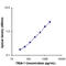 Triggering Receptor Expressed On Myeloid Cells 1 antibody, LS-C41133, Lifespan Biosciences, Enzyme Linked Immunosorbent Assay image 