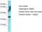 Olfactory Receptor Family 6 Subfamily K Member 2 antibody, TA337536, Origene, Western Blot image 