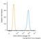 CD63 Molecule antibody, NBP2-42225R, Novus Biologicals, Flow Cytometry image 