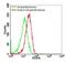 TLR13 antibody, PA5-23107, Invitrogen Antibodies, Flow Cytometry image 