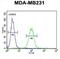 Cathepsin F antibody, abx032874, Abbexa, Flow Cytometry image 