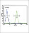 Tyrosinase antibody, 62-843, ProSci, Flow Cytometry image 