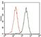 GATA Binding Protein 6 antibody, GTX60772, GeneTex, Flow Cytometry image 