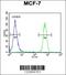 Cell Division Cycle 37 antibody, 63-723, ProSci, Immunofluorescence image 