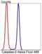 Caspase 2 antibody, NBP2-67333, Novus Biologicals, Flow Cytometry image 