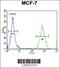 Glycerol-3-phosphate dehydrogenase 1-like protein antibody, 55-370, ProSci, Flow Cytometry image 