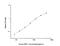 Glypican 1 antibody, NBP2-82183, Novus Biologicals, Enzyme Linked Immunosorbent Assay image 