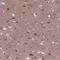 ER Membrane Protein Complex Subunit 2 antibody, NBP2-13490, Novus Biologicals, Immunohistochemistry frozen image 