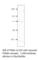 Phosphodiesterase 8A antibody, PD8A-121AP, FabGennix, Western Blot image 