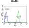 Keratin-9 antibody, LS-C165644, Lifespan Biosciences, Flow Cytometry image 