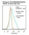 TNF Receptor Superfamily Member 17 antibody, LS-C357675, Lifespan Biosciences, Flow Cytometry image 