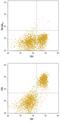 CD6 Molecule antibody, MAB727, R&D Systems, Flow Cytometry image 