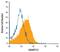 ADAM Metallopeptidase With Thrombospondin Type 1 Motif 15 antibody, MAB5149, R&D Systems, Flow Cytometry image 