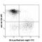 Rano class II histocompatibility antigen, A beta chain antibody, 205301, BioLegend, Flow Cytometry image 