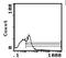 H-2 class II histocompatibility antigen, I-A beta chain antibody, MA1-70065, Invitrogen Antibodies, Flow Cytometry image 