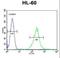 KH Domain Containing 3 Like, Subcortical Maternal Complex Member antibody, LS-B12673, Lifespan Biosciences, Flow Cytometry image 