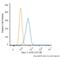 Sodium Voltage-Gated Channel Alpha Subunit 5 antibody, NB110-61010, Novus Biologicals, Flow Cytometry image 