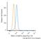 Three Prime Repair Exonuclease 1 antibody, NBP2-22394, Novus Biologicals, Flow Cytometry image 