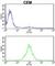 Karyopherin Subunit Beta 1 antibody, abx033002, Abbexa, Western Blot image 