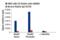 Chromobox 4 antibody, 30559S, Cell Signaling Technology, Chromatin Immunoprecipitation image 