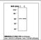 Enolase 2 antibody, LS-C61945, Lifespan Biosciences, Western Blot image 