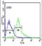 Activating Transcription Factor 1 antibody, PA5-24788, Invitrogen Antibodies, Flow Cytometry image 