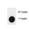 Lysine Demethylase 4A antibody, LS-C163625, Lifespan Biosciences, Dot Blot image 